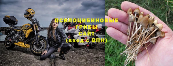 бошки Белоозёрский
