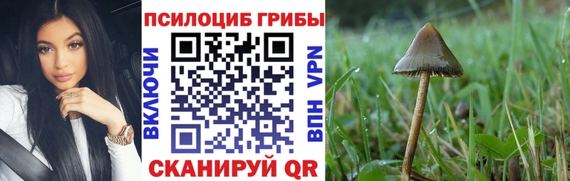 гидра рабочий сайт  Ершов  Галлюциногенные грибы MAGIC MUSHROOMS 